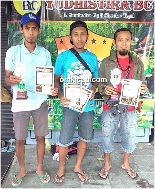 juara pleci