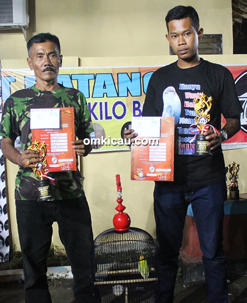 Lovebird Tong Setan milik Om Rama