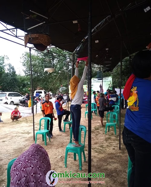 Joss BC Cup 2