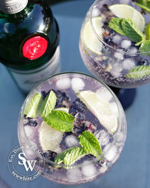 Blueberry Gin and Tonic Recipe from above with pruple and green tones