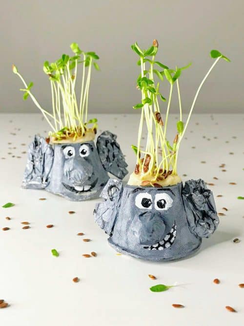 Microgreen Trolls - Growing Activity for Kids