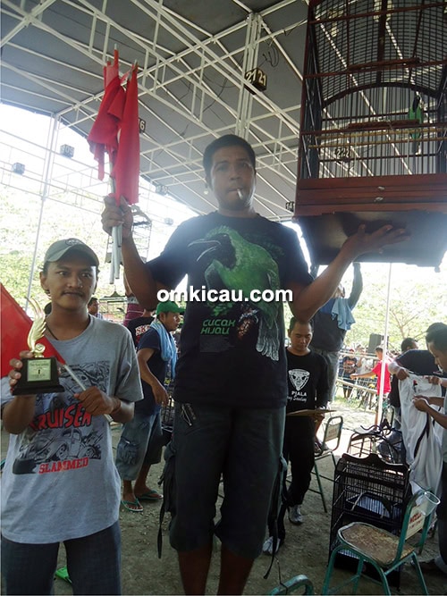 Cucak ijo Petir