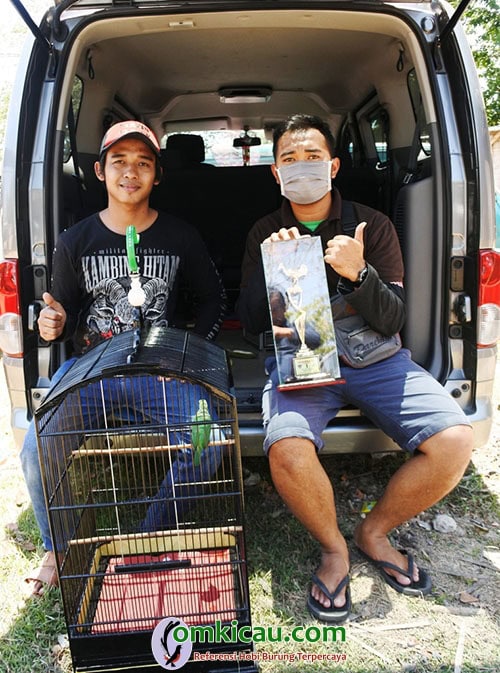 cak ijo Super Bejo