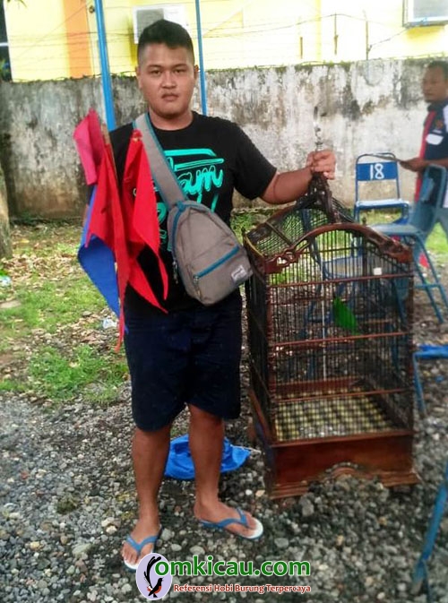 Cucak ijo Nolo Gareng