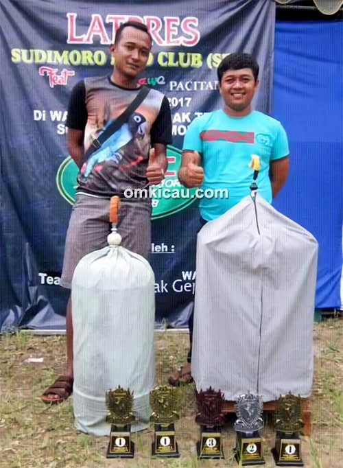 cucak hijau Tirtha Yudha