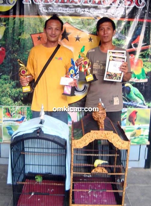 Om Hakim Arif dan cucak ijo Greenday