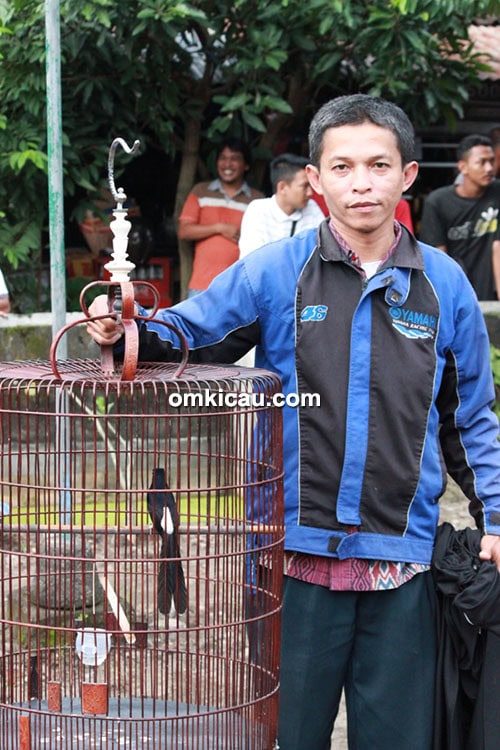 Om Nata dan murai batu Apollo