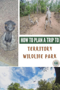 A Guide To Visiting The Territory Wildlife Park From Darwin, Australia