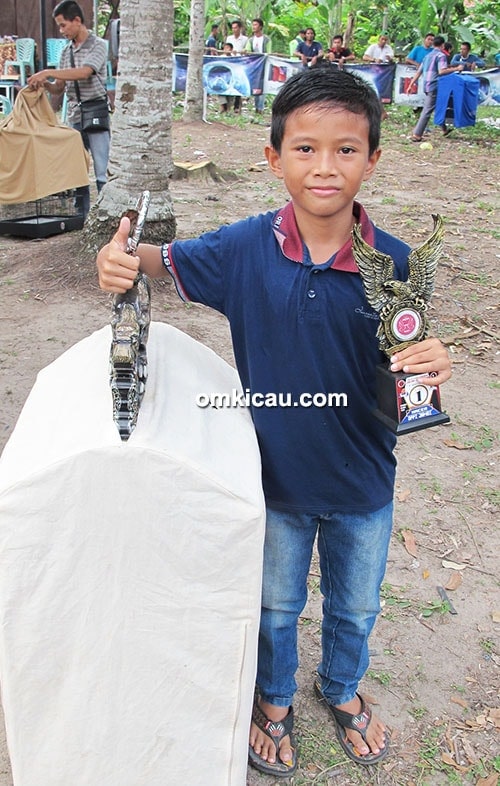 kacer Bajing Ireng