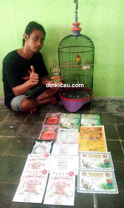 Lovebird Adila