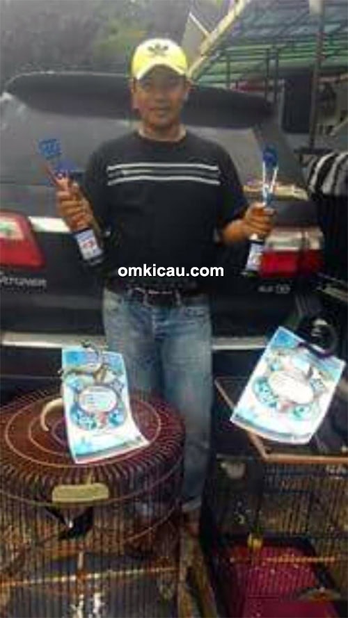 Om Elvis, pemilik kenari Parmato