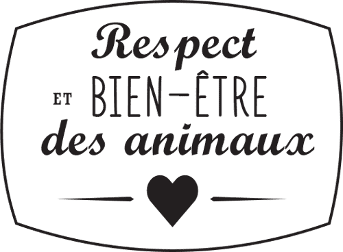 Respect