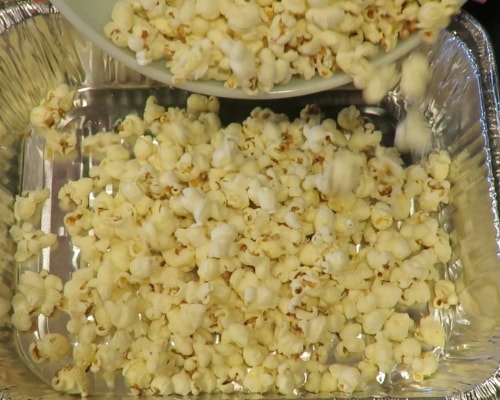plain popcorn