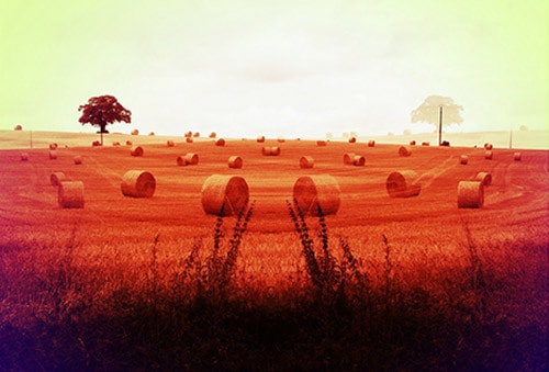 mirrored-haystack-olivier-degabriele