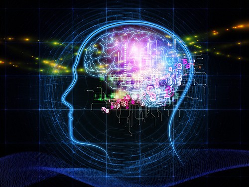 8384110298_da510e0347_brain
