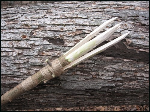 Fishing spear