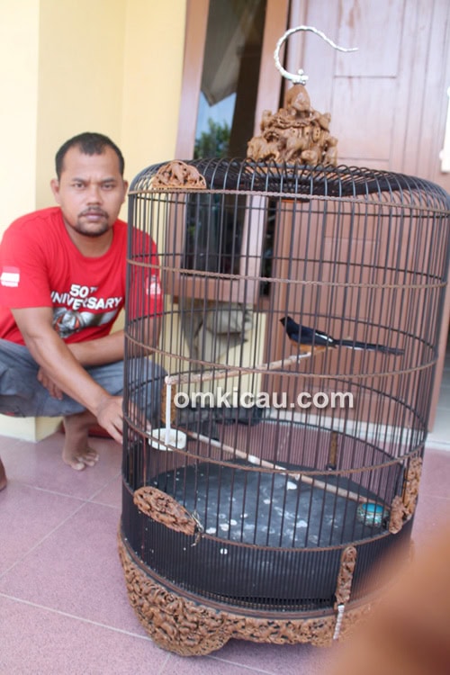 Om Yono dan murai batu Killer.