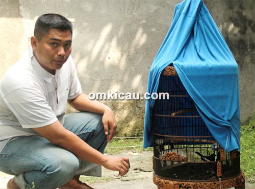 Om Damar dan kacer Dewa Serayu