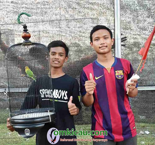 Gantangan NZR Surabaya lovebird Cilung
