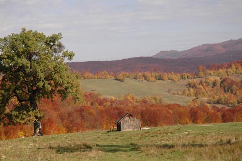 Schamanismus e.V. in Rumänien - Landschaft Asociatia Samanism