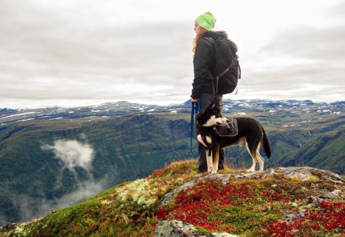 Woman hiking in the mountains with her dog Woman hiking in the mountains with her dog