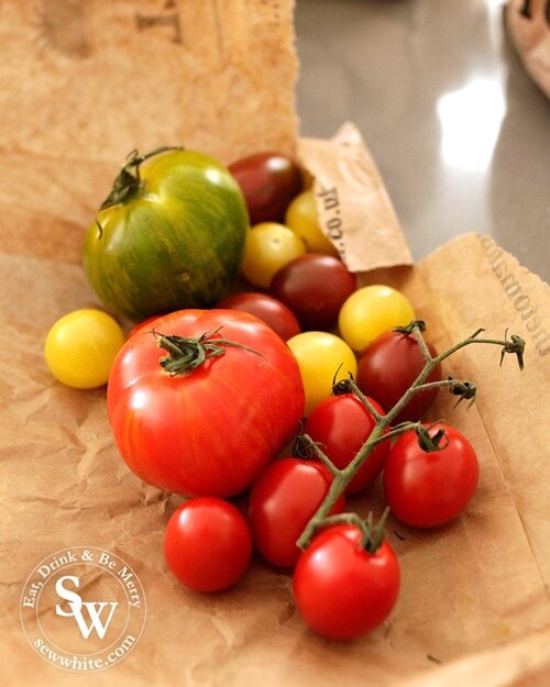 A selection of beautiful tomatoes from the Isle of Wight tomato company. Vine ripened red tomatoes, cherry tomatoes, tiger tomatoes and buffalo tomatoes