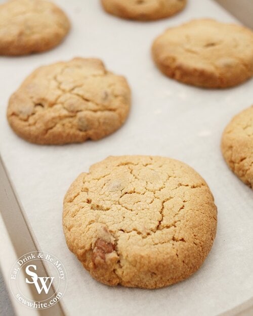 Gold Biscoff Chocolate Chip Cookies fresh out of the oven.