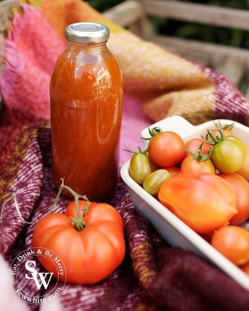 The finished tomato ketchup from the How to Make Tomato Ketchup recipe.