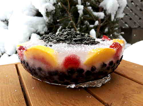 A Finished Ice Bowl Bird Feeder ice-bowl-bird-feeder-f6