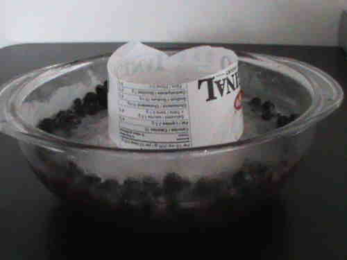 First Layer Ready To Go ice-bowl-feeder-blueberries