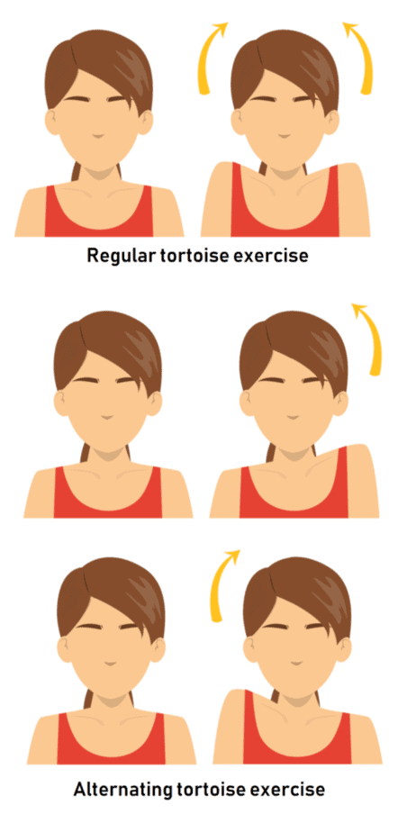 Example for tortoise exercise
