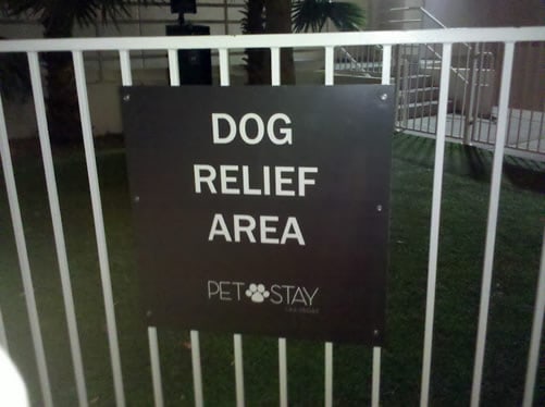 Pet Friendly Hotels Sign Pet Friendly Hotels Sign