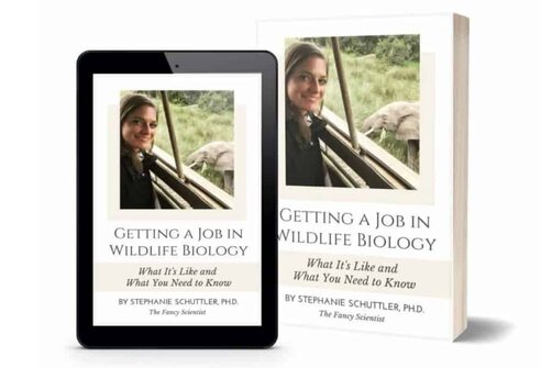 Getting a Job in Wildlife Biology is out now! Learn how to become competitive for the wildlife biology job you want.