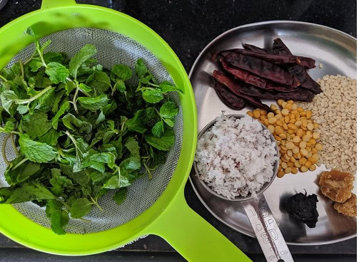 Ingredients for Pudina Thogayal