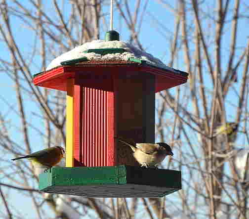 Winter Is A Good Season To Feed Birds A picture of a snowy bird feeder with two birds eating at it.