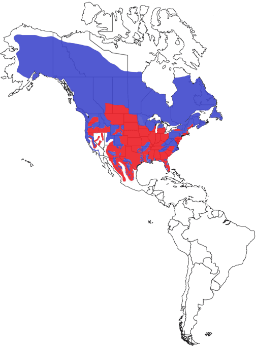 American Black Bear Species Range Map