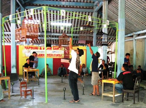 Lomba Papburi Solo 8 Agustus 2010 (1)
