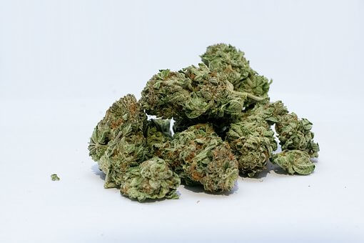 marijuana-2174302__340 marijuana