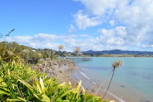 Moeraki Village