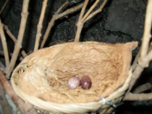 TELUR BURUNG TRUCUKAN