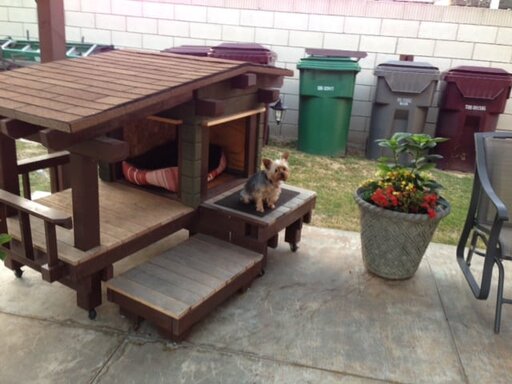 Yuki working on her sit stay