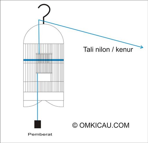Menjebak burung lepas dengan tali