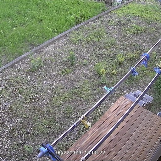 除草剤 グリホエースプロを100倍で希釈して散布したその効果と経過観察 雑草 えつしまんblog 除草剤 グリホエースプロを100倍で希釈して散布したその効果と経過観察 雑草 えつしまんblog