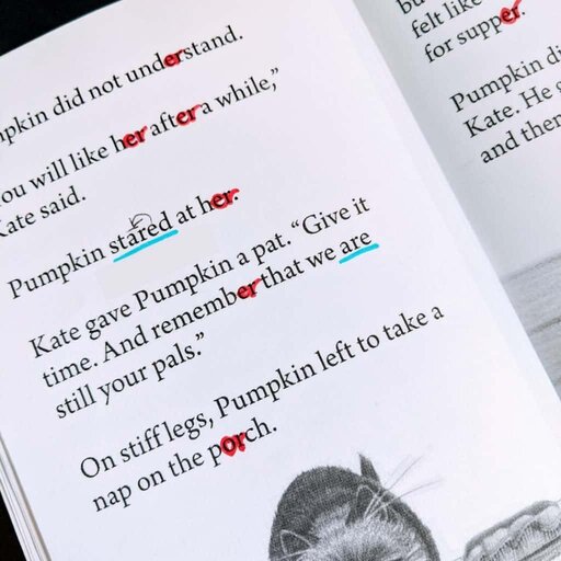 highlight r controlled vowels in a decodable text