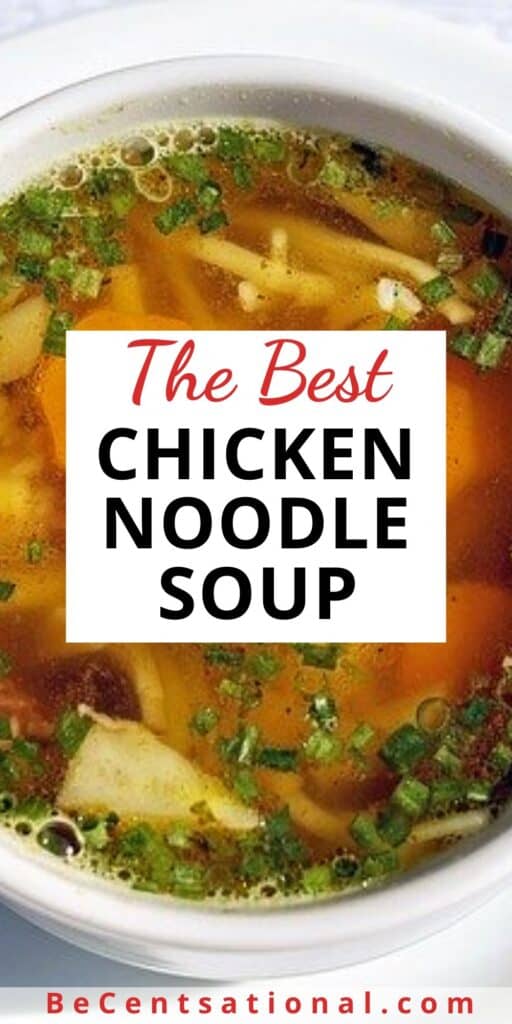chicken noodle soup