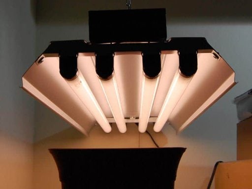 Fluorescent-grow-lights Fluorescent-grow-lights