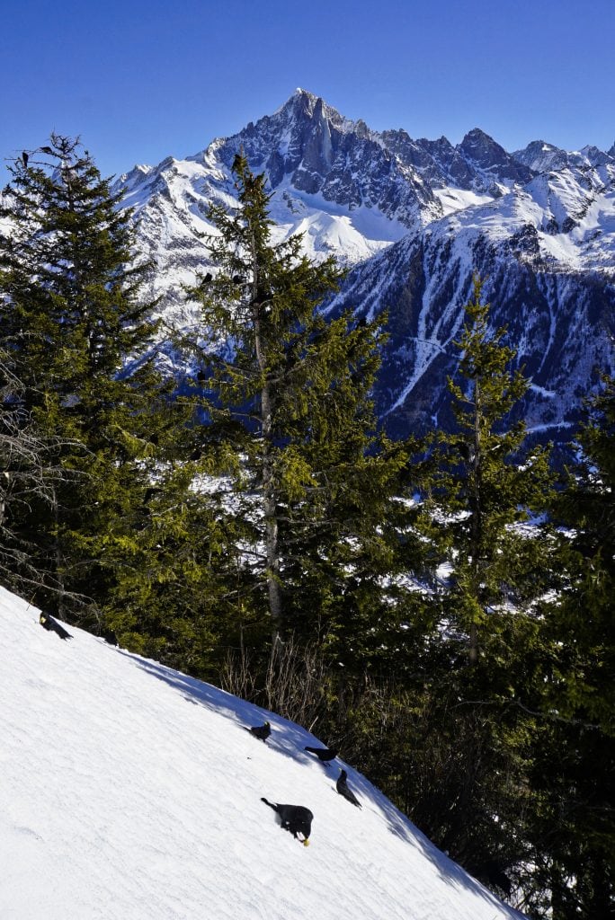 Le Brévent, Chamonix, France – Experiencing the Globe