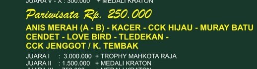 Kelas - harga tiket dan hadiah Lomba Burung Piala Raja5