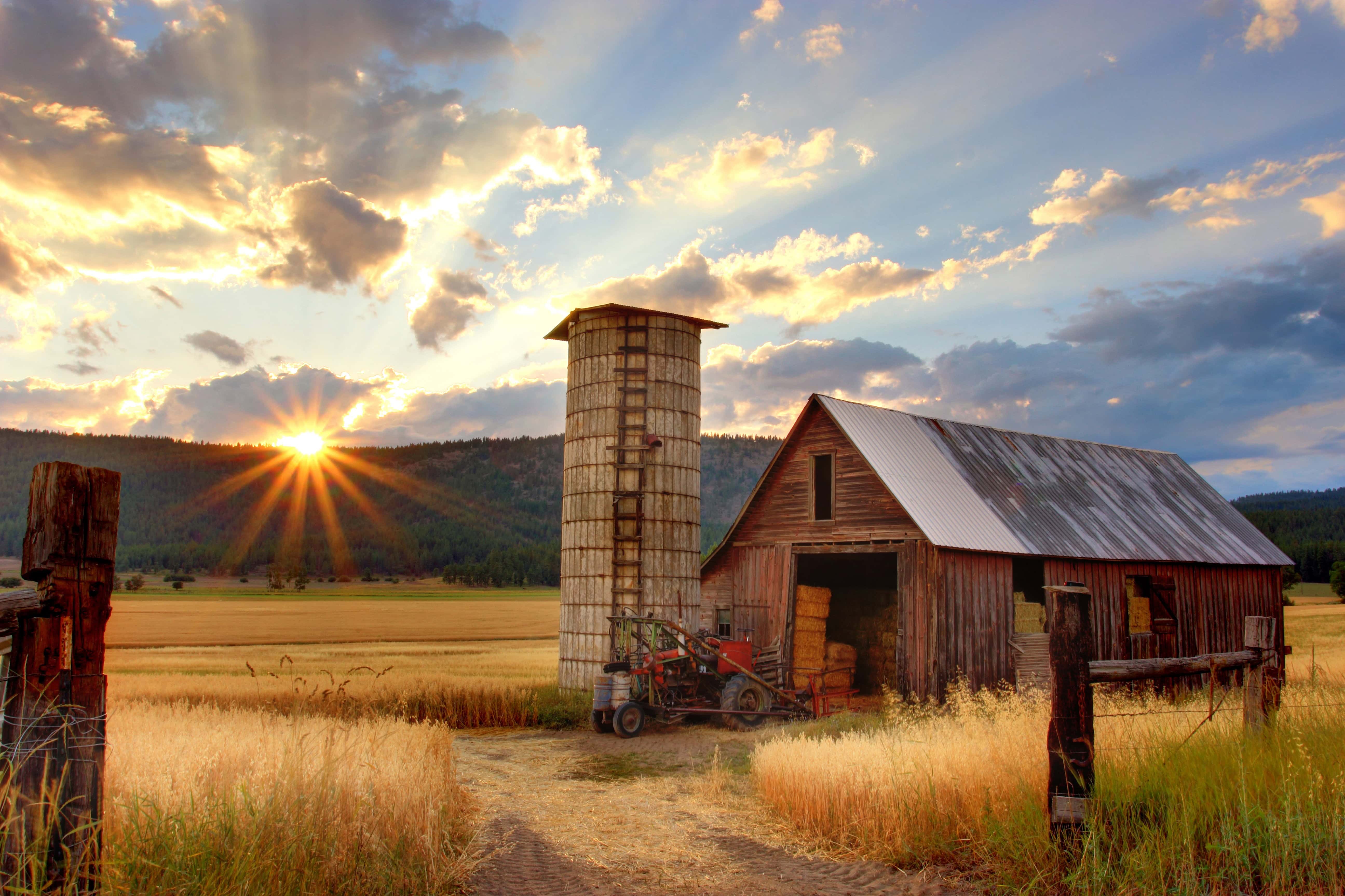 Farm work in Australia