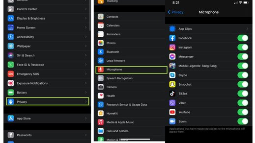 microphone not functioning on iphone 12